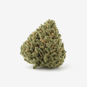 Nimbus easy 26/1 – French Cookies