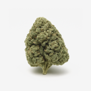 San Raf 31/1 CFK Campfire Kush