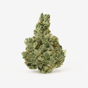 LUANA 28/1 DURBAN POISON